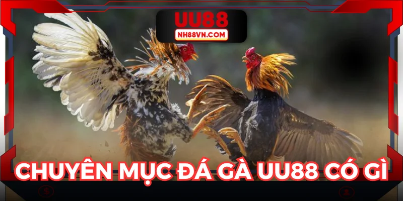 Bật mí phía sau sức hút của sảnh đá gà UU88