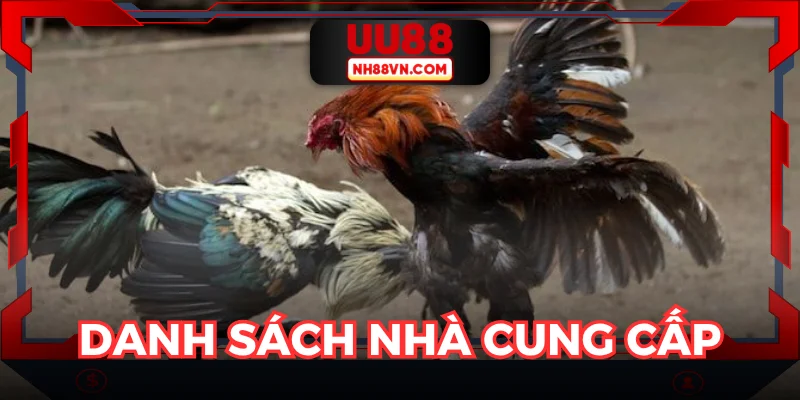 Những tên tuổi lớn tạo nên sân chơi đá gà UU88 đẳng cấp